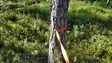 Kardog IITA, Leash, Orange - Dog accessories - 6430067783129 - 2