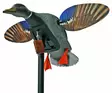 Mojo motordriven andbulvan, Mini Mallard Drake - Bulvaner - 0816740004099 - 1