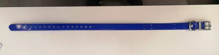 Collar strap, 18mm x 560mm Blue - Tracker accessories - pantasininen - 1