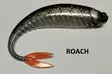 Johnny Baits Finland 12"INCHER-jigg - Jiggar och shad beten - 12incher - 9