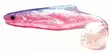 Orka Shad 18cm Jig, 1pc - Jigs and shads - 2020-S - 7